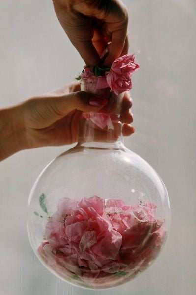 Oils & Perfumes